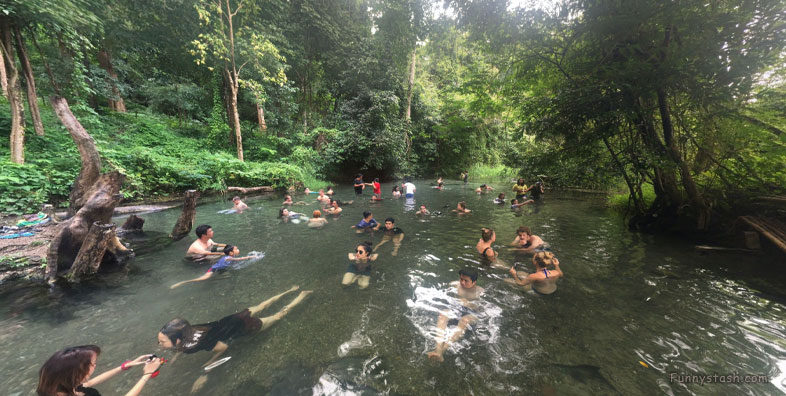 Thermal Bath Jungle Hot Springs Sai Ngam VR Thailand