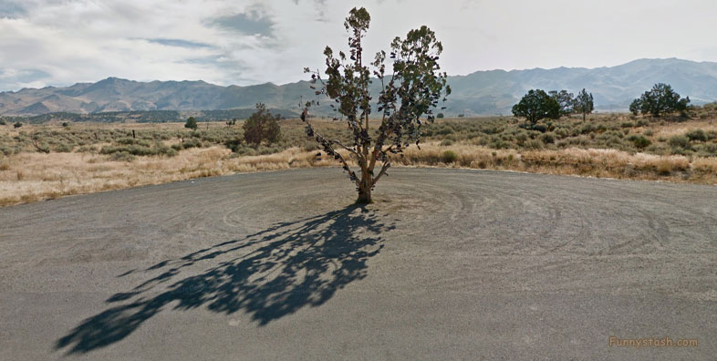 Tree Of Shoes California Weird Strange 360 VR Locations