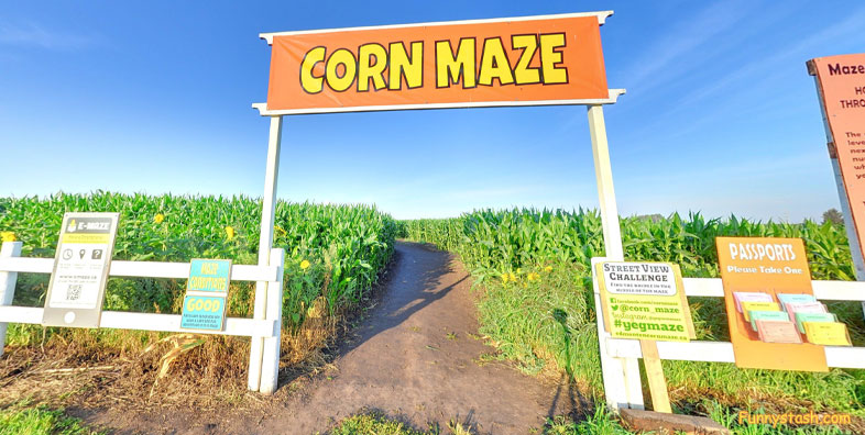 Corn Maze e maze Alberta Canada Tour Locations