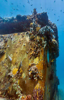 Dive Aquarius Florida Keys Reef Base Gps Ocean Locations tmb7