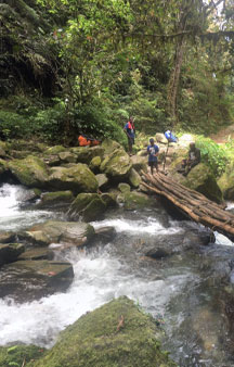 Kokoda Trail Papua New Guinea VR Adventure tmb24