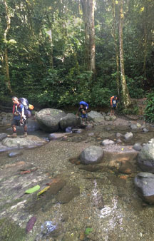 Kokoda Trail Papua New Guinea VR Adventure tmb9