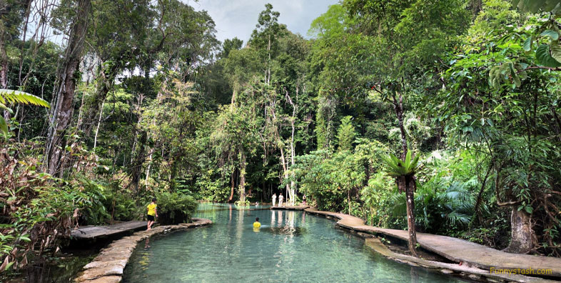 Natural Forest Pool Nam Rad Forest Headwaters Thani Thailand Tourism Locations
